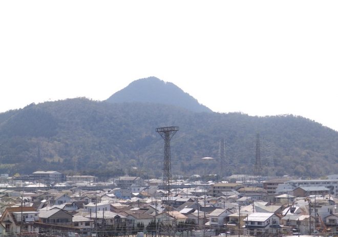 JR在来線と新幹線が見えます。